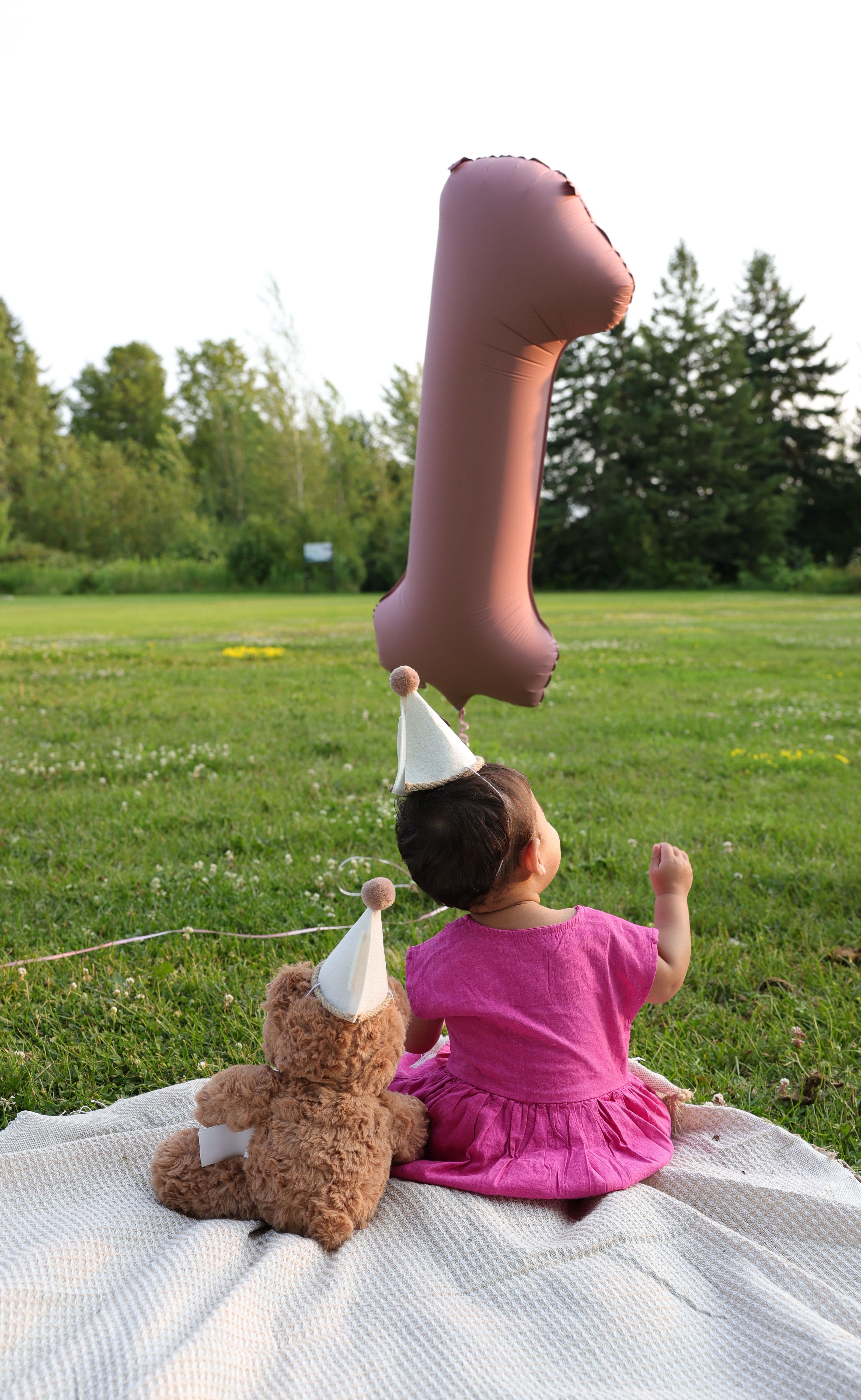 One-year-old sitting in a meadow with a teddy bear and a number one balloon