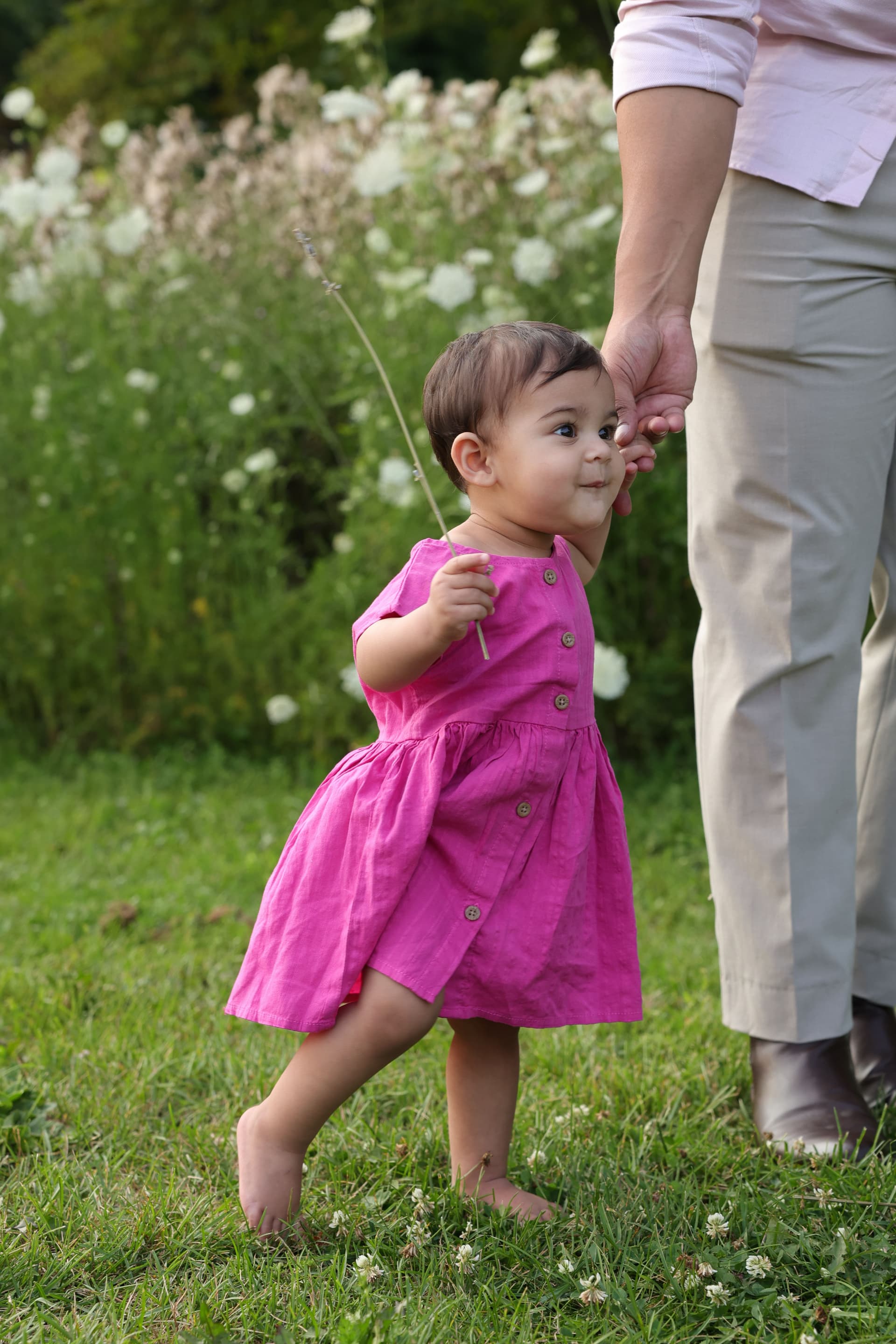 One-year-old walking hand in hand with a parent in a flower meadow